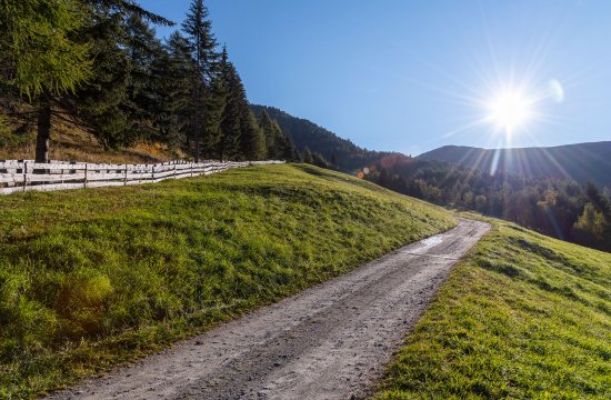 Rifacimento del sentiero storico di Rizzolo presso Mules