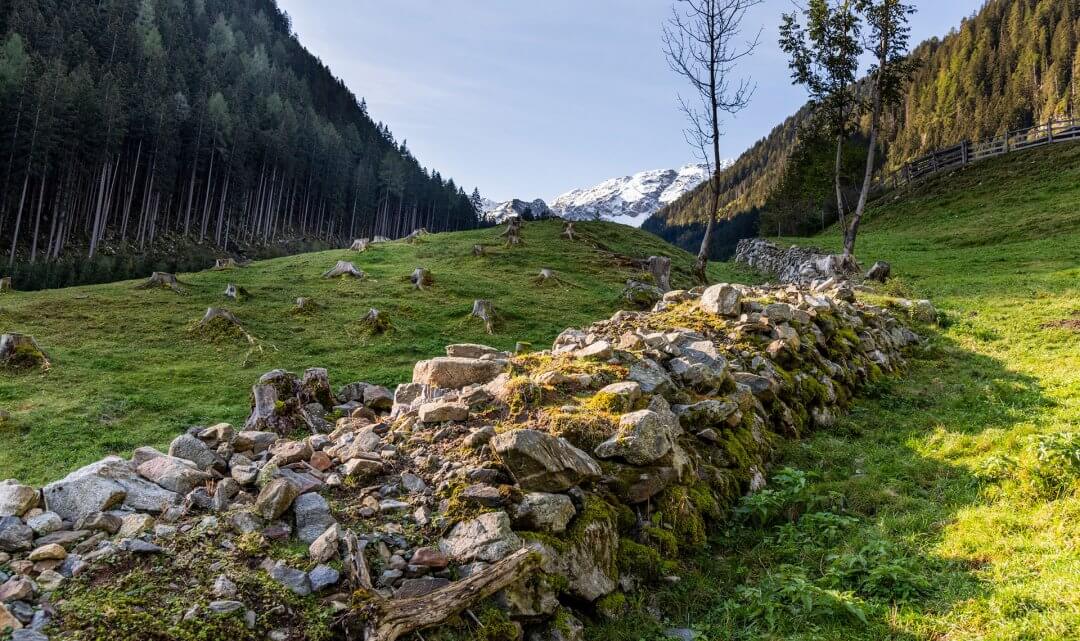 Sanierung des Wanderweges Bergltal – Schönjoch – Puntleider See