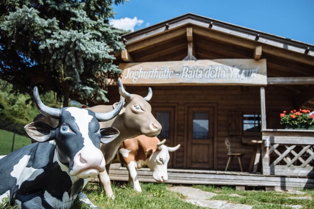 Il Sentiero dello Yogurt di Vipiteno